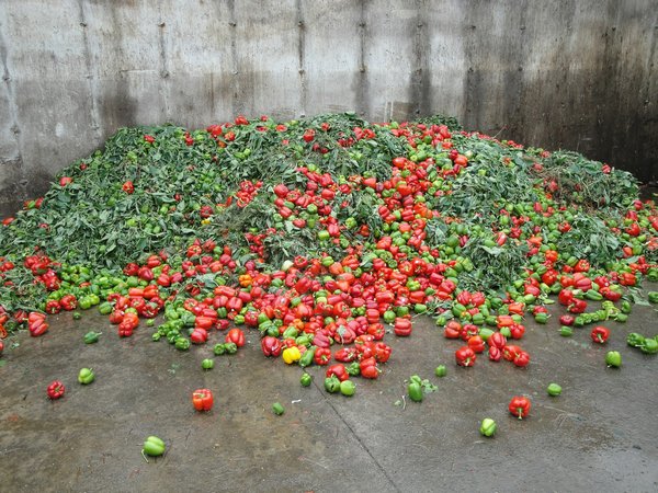 Gaz vert : la solution durable pour un avenir énergétique renouvelable